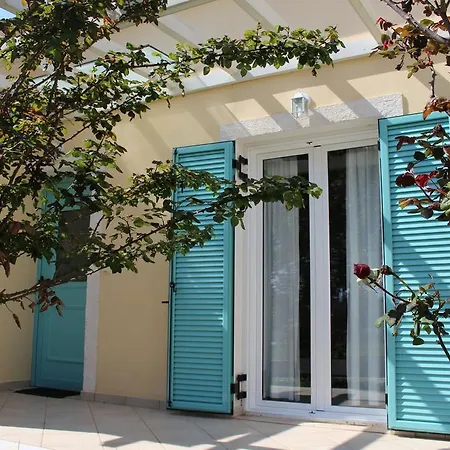 Hyacinth Άγιος Γεώργιος